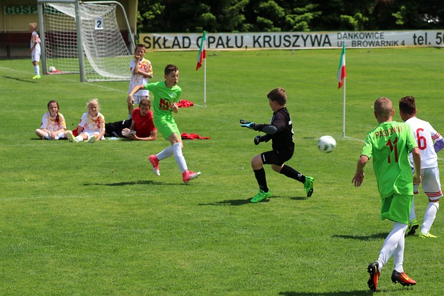 心的候选者 心的候选者